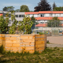 UniverSaale Schulgarten
