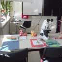 Biologie Olympiade