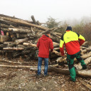 Gartenprojekt 2.1.:Holzholen auf dem Jenaer Forst