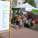 Wasserachsenspiele 2025