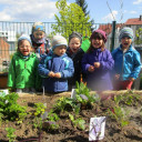 Freitag ist Gartentag 5