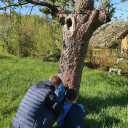 Streuobstwiesenprojekt