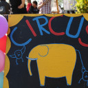 Circus sign